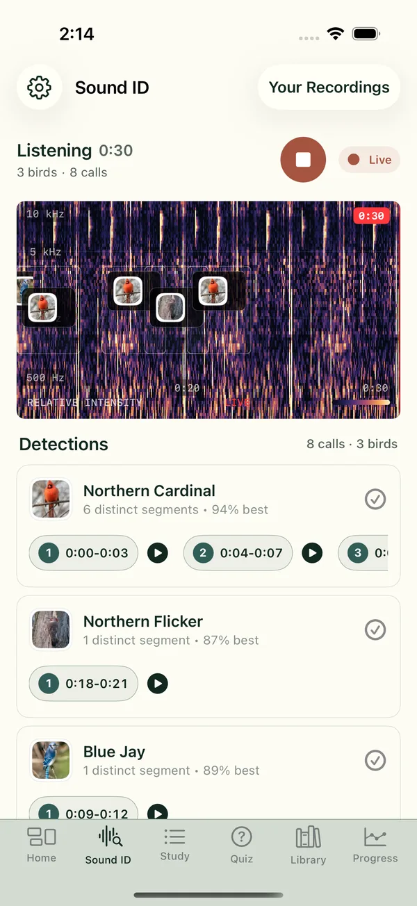 BirdBrain on iPhone: Sound ID listening, with a live spectrogram and Northern Cardinal, Northern Flicker and Blue Jay detections