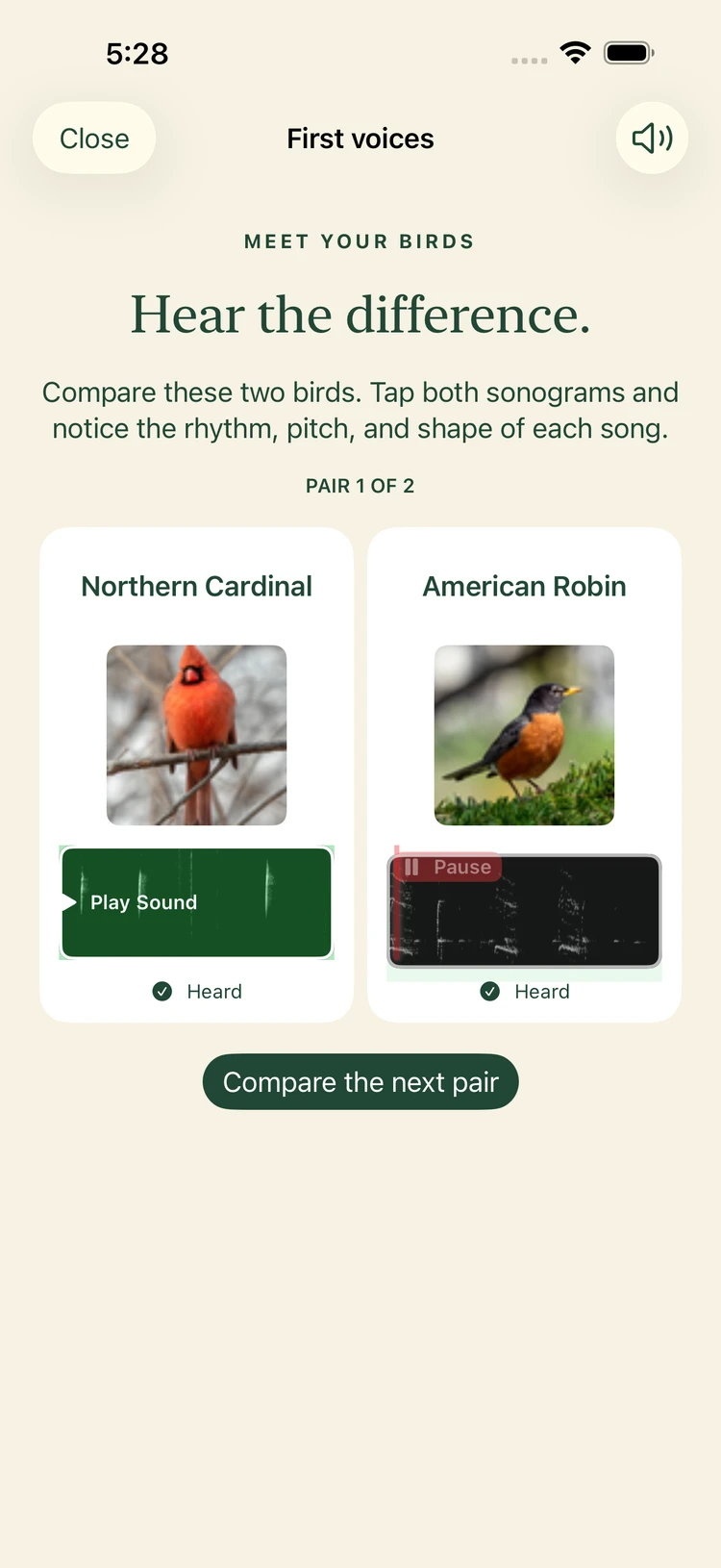 iPhone lesson comparing Northern Cardinal and American Robin sounds side by side