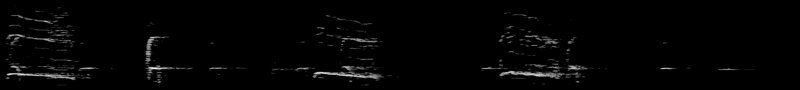 Spectrogram of a American Robin call: time runs left to right and pitch rises upward