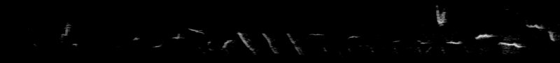 Spectrogram of a American Tree Sparrow call, song: time runs left to right and pitch rises upward