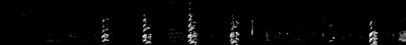 Spectrogram of a Black-necked Stilt call: time runs left to right and pitch rises upward