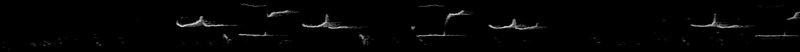 Spectrogram of a Brown-headed Cowbird call: time runs left to right and pitch rises upward