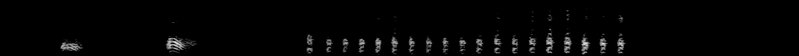 Spectrogram of a Cooper's Hawk call: time runs left to right and pitch rises upward
