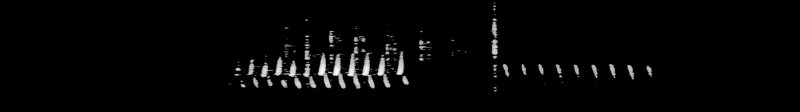Spectrogram of a Dark-eyed Junco call: time runs left to right and pitch rises upward