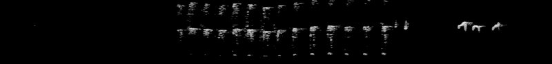 Spectrogram of a Downy Woodpecker call: time runs left to right and pitch rises upward