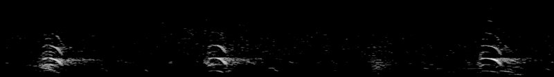 Spectrogram of a Herring Gull flight call: time runs left to right and pitch rises upward