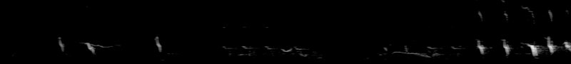Spectrogram of a House Finch song: time runs left to right and pitch rises upward