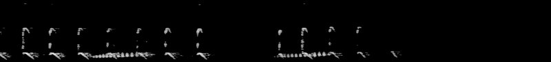 Spectrogram of a Lesser Yellowlegs call: time runs left to right and pitch rises upward