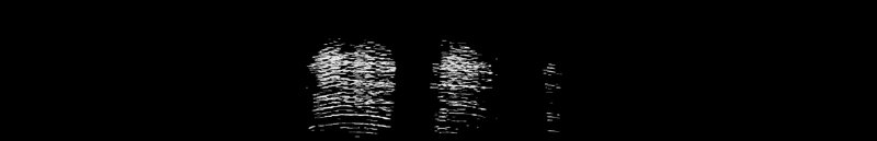 Spectrogram of a Mallard call: time runs left to right and pitch rises upward