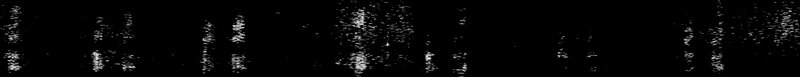 Spectrogram of a Northern Shoveler call: time runs left to right and pitch rises upward