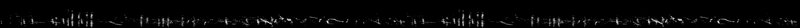 Spectrogram of a Northern Shoveler call: time runs left to right and pitch rises upward