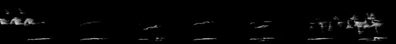Spectrogram of a Osprey call: time runs left to right and pitch rises upward
