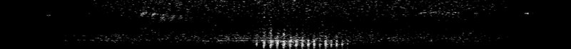 Spectrogram of a Pileated Woodpecker drumming: time runs left to right and pitch rises upward