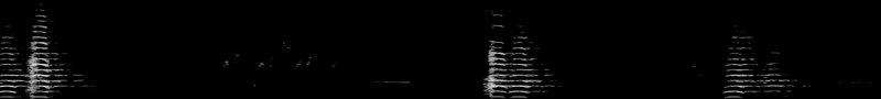 Spectrogram of a Trumpeter Swan call: time runs left to right and pitch rises upward