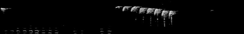 Spectrogram of a White-breasted Nuthatch call: time runs left to right and pitch rises upward