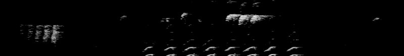 Spectrogram of a White-breasted Nuthatch song: time runs left to right and pitch rises upward