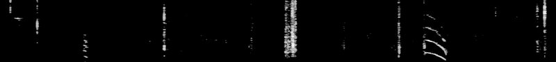 Spectrogram of a White-breasted Nuthatch call: time runs left to right and pitch rises upward