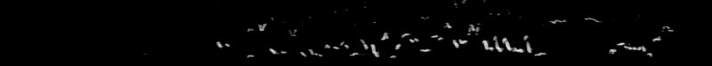 Spectrogram of a Winter Wren song: time runs left to right and pitch rises upward