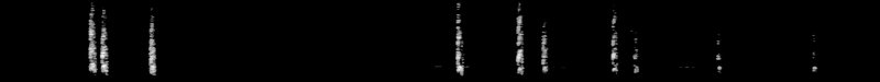 Spectrogram of a Winter Wren call, song: time runs left to right and pitch rises upward